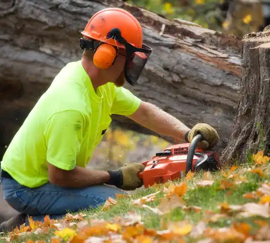 tree services Rolling Hills